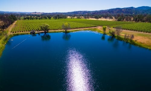 Mount St. Helena Vineyard and Winery For Sale