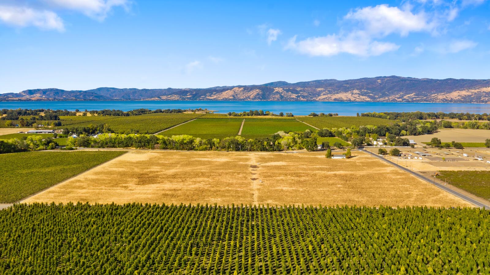 NorCal Vineyards - water on winery land with mountains behind